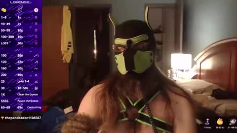 Snapshot of kinkywolf87 chatting on October 19, 2025, 5:30 am kinkywolf87 online show from October 19, 2025, 5:30 am