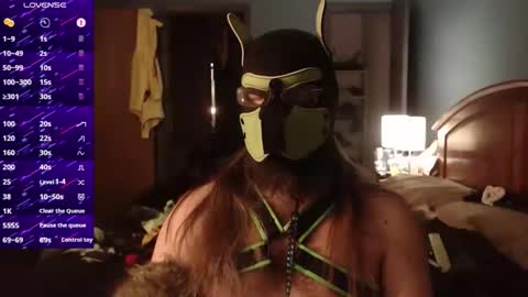 Snapshot of kinkywolf87 chatting on December 2, 2025, 5:02 am kinkywolf87 online show from December 2, 2025, 5:02 am