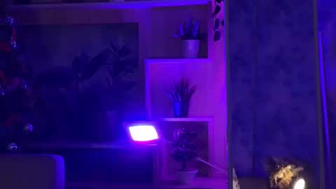 Kira    online show from February 16, 2025, 4:42 pm