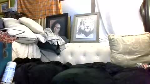 Snapshot of kishan2525 chatting on March 7, 2026, 9:06 am Kishan2525 online show from March 7, 2026, 9:06 am