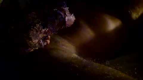 Kitkat loco online show from November 3, 2025, 9:54 am