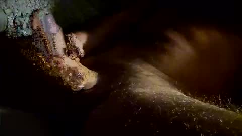 Snapshot of kitkat_loco1 chatting on November 4, 2025, 7:40 am Kitkat loco online show from November 4, 2025, 7:40 am