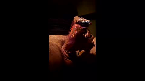 Snapshot of kitkat_loco1 chatting on January 11, 2026, 8:36 pm Kitkat loco online show from January 11, 2026, 8:36 pm