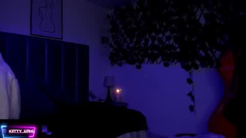 Snapshot of kitty_gang chatting on November 15, 2025, 2:31 am Camila online show from November 15, 2025, 2:31 am