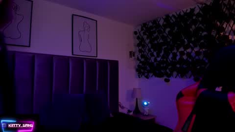 Snapshot of kitty_gang chatting on November 18, 2025, 1:33 am Camila online show from November 18, 2025, 1:33 am