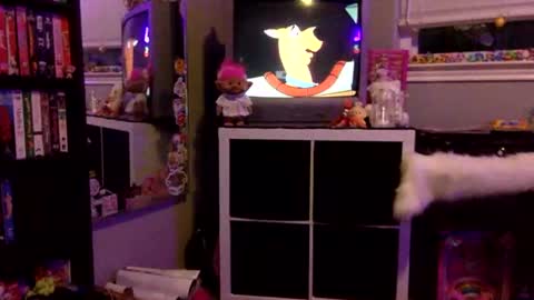 kittykatcoco online show from November 11, 2025, 4:23 am