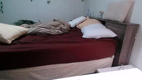 Snapshot of kittyymaze chatting on December 18, 2025, 12:44 pm Kittyymaze online show from December 18, 2025, 12:44 pm