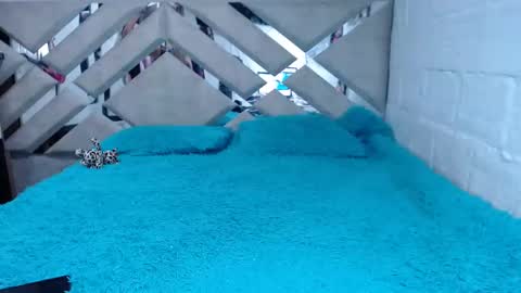 Snapshot of kittyzevee_ chatting on February 8, 2025, 1:11 am kittyzevee_ online show from February 8, 2025, 1:11 am