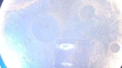 K L O E online show from September 15, 2025, 12:05 pm