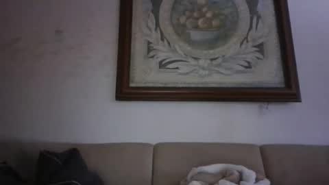 Snapshot of kobolt67 chatting on February 24, 2026, 3:43 pm kobolt67 online show from February 24, 2026, 3:43 pm