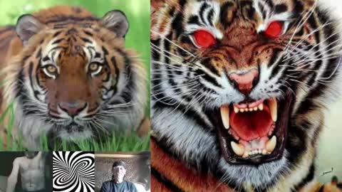 kodiakpm1 online show from February 1, 2025, 7:15 am