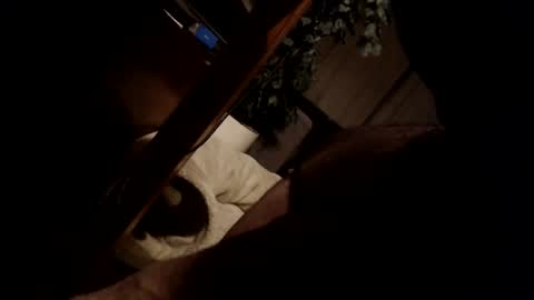 Snapshot of koekerdt chatting on January 31, 2025, 11:35 pm koekerdt online show from January 31, 2025, 11:35 pm