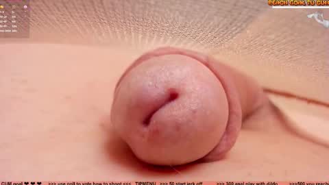 Snapshot of kpetra chatting on February 19, 2026, 8:05 pm Petra online show from February 19, 2026, 8:05 pm