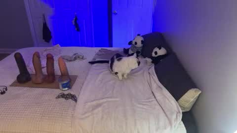 Kristin Snow online show from September 17, 2025, 4:47 am