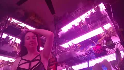 krookedorchid online show from October 19, 2025, 11:44 am