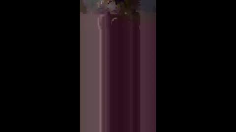 kteewilds online show from March 20, 2026, 11:04 am