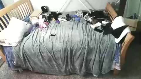 Snapshot of kulinky6969 chatting on December 15, 2025, 11:58 am kulinky6969 online show from December 15, 2025, 11:58 am