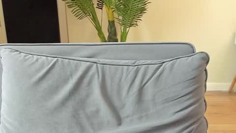 Kyle online show from November 5, 2025, 12:16 pm