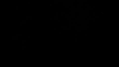 kylie_bloom online show from October 31, 2025, 6:20 pm