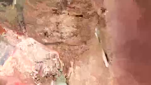 la7496659 online show from January 17, 2025, 7:19 am