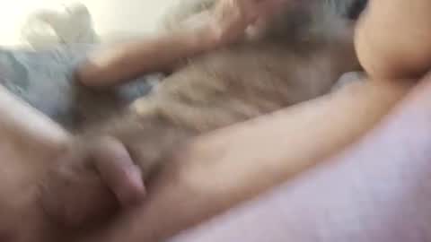 la7496659 online show from November 15, 2025, 5:42 pm