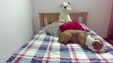 Akyra  online show from October 21, 2025, 11:55 am