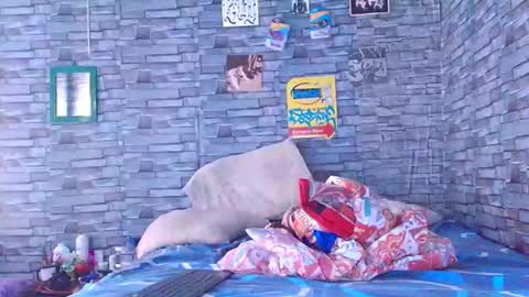 Lady godss online show from December 1, 2025, 7:08 pm