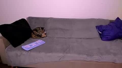 Snapshot of ladytrep chatting on January 31, 2026, 7:56 pm LadyTrep online show from January 31, 2026, 7:56 pm