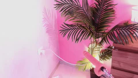 LANA online show from December 1, 2025, 4:17 am