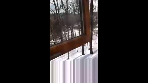 Snapshot of langederek2 chatting on March 19, 2026, 3:27 pm langederek2 online show from March 19, 2026, 3:27 pm