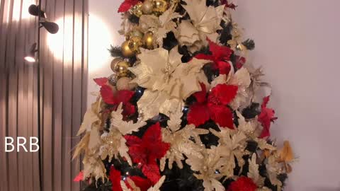 Snapshot of lanna_wilson chatting on December 19, 2024, 11:25 pm Tiana online show from December 19, 2024, 11:25 pm