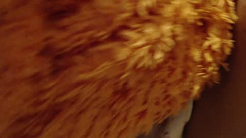 laralhotr online show from December 26, 2024, 10:09 pm