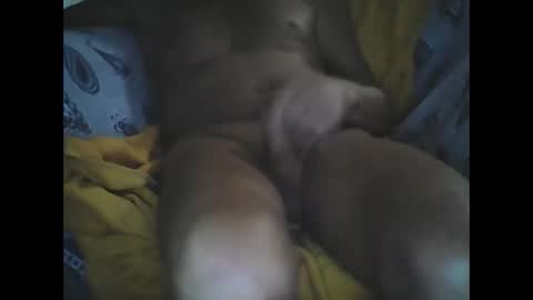 Snapshot of larop49 chatting on October 6, 2025, 5:16 am Larop49 online show from October 6, 2025, 5:16 am