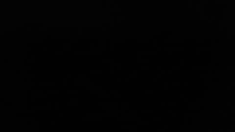 larry77733217 online show from February 11, 2025, 9:56 pm