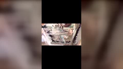 Snapshot of latinbulldaddy88036 chatting on March 9, 2026, 9:08 pm latinbulldaddy88036 online show from March 9, 2026, 9:08 pm