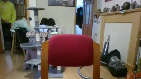 Snapshot of lauratedomm chatting on March 8, 2026, 4:00 pm lauratedomm online show from March 8, 2026, 4:00 pm