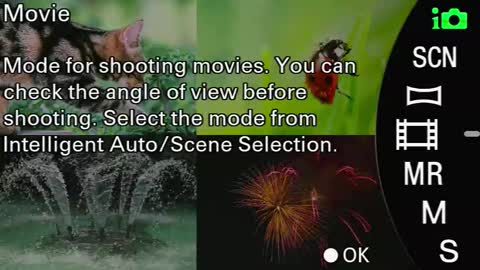 Monica online show from September 24, 2025, 8:39 am