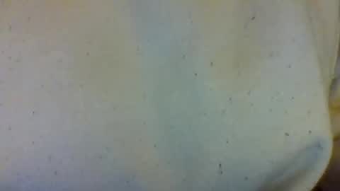 layannalea online show from February 13, 2026, 7:04 am