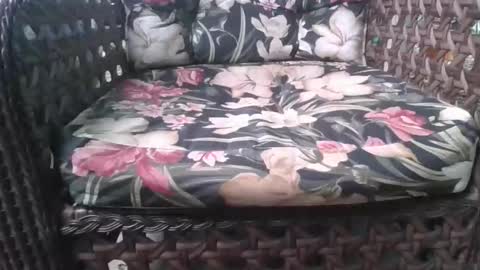 kelly online show from February 15, 2026, 8:05 pm