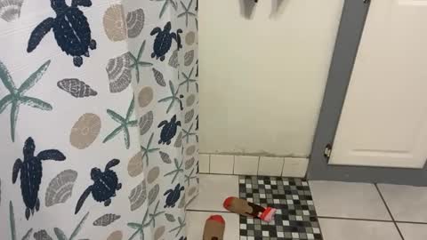 lazyladypug425146 online show from December 15, 2025, 5:17 pm