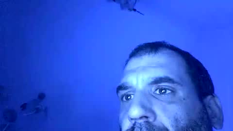 lechebizvm online show from November 4, 2025, 11:37 pm