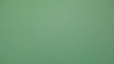 Michel online show from February 4, 2026, 6:03 pm