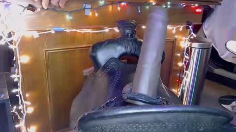 Lee Cox online show from November 8, 2025, 3:23 pm