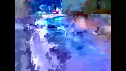 Snapshot of leemen33 chatting on December 4, 2025, 7:39 am Michael online show from December 4, 2025, 7:39 am