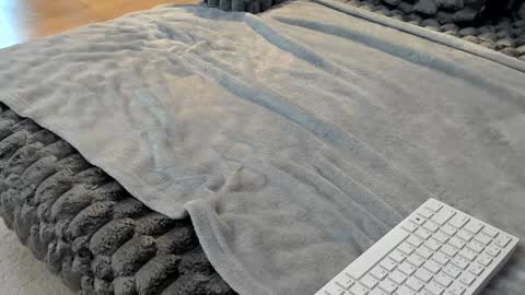 Elle  online show from March 11, 2026, 6:41 am