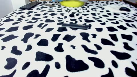 Snapshot of leokiritsugu chatting on January 27, 2025, 5:15 pm Leo online show from January 27, 2025, 5:15 pm