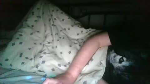 Leon online show from December 19, 2025, 11:01 pm