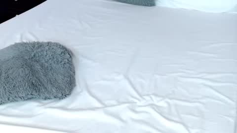 LUCY online show from February 19, 2025, 11:04 pm