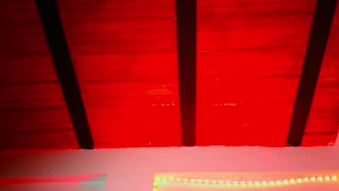 Snapshot of leonnardojaramillo chatting on December 12, 2024, 10:24 am Lenardo jaramillo online show from December 12, 2024, 10:24 am