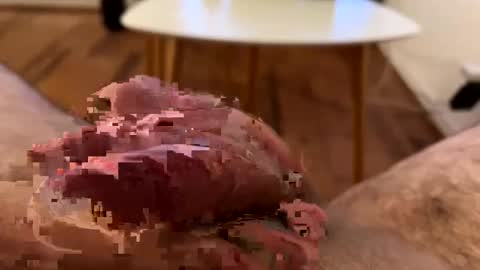 ler_11 online show from June 7, 2026, 10:13 pm